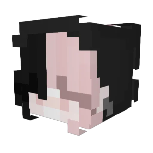 VanellaTeddy Minecraft avatar head, 3D render