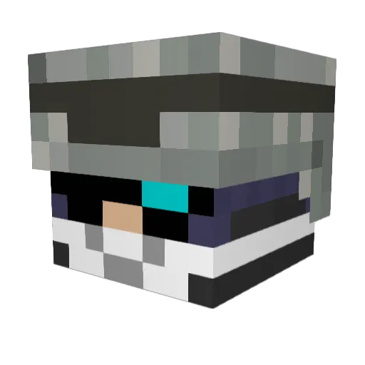 Vanella_Gorella Minecraft avatar head, 3D render