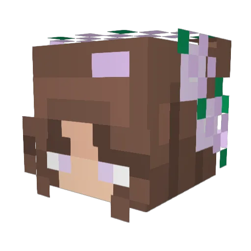Vanelope_13 Minecraft avatar head, 3D render