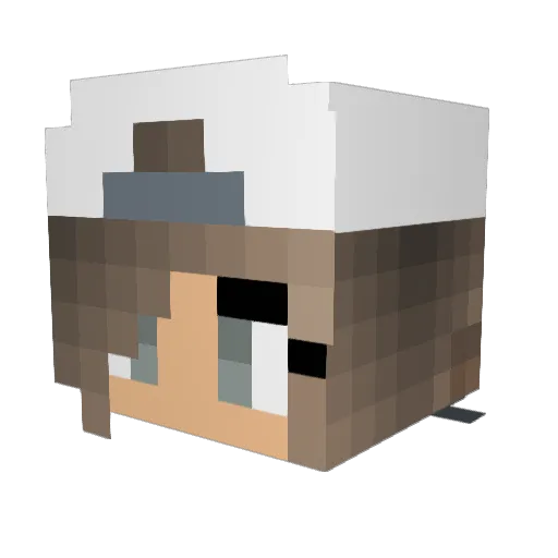 Vanessa180701 Minecraft avatar head, 3D render