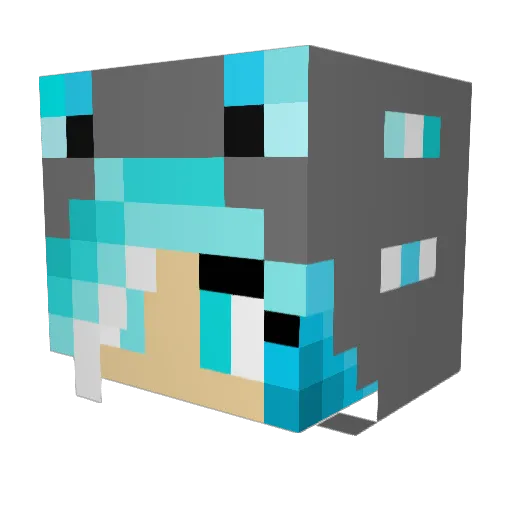 Vanessa2003 Minecraft avatar head, 3D render
