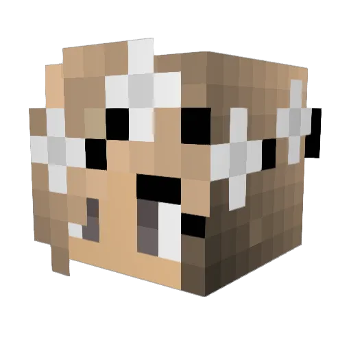 VanessaW02 Minecraft avatar head, 3D render