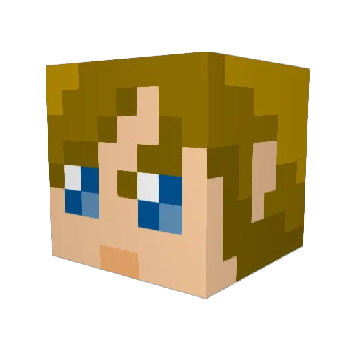 Vanfisa7707 Minecraft avatar head, 3D render