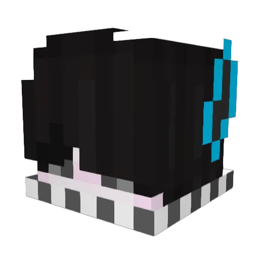 VanguarDID Minecraft avatar head, 3D render