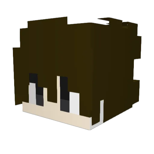 Vanh_ Minecraft avatar head, 3D render