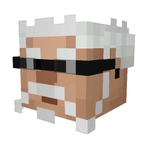 VanhedenOne Minecraft avatar head, 3D render