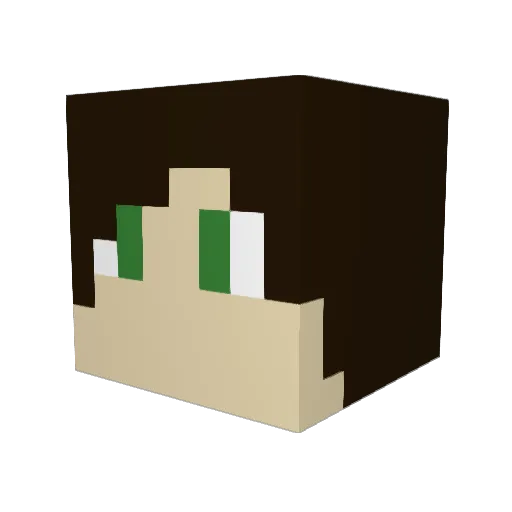 Vani30 Minecraft avatar head, 3D render