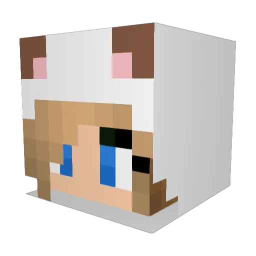 VaniBunny2003 Minecraft avatar head, 3D render