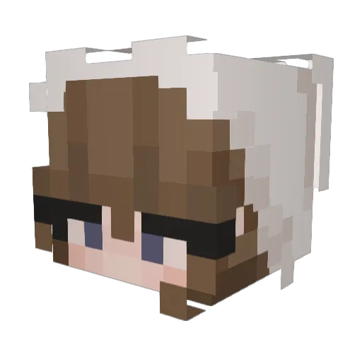 Vani__ Minecraft avatar head, 3D render