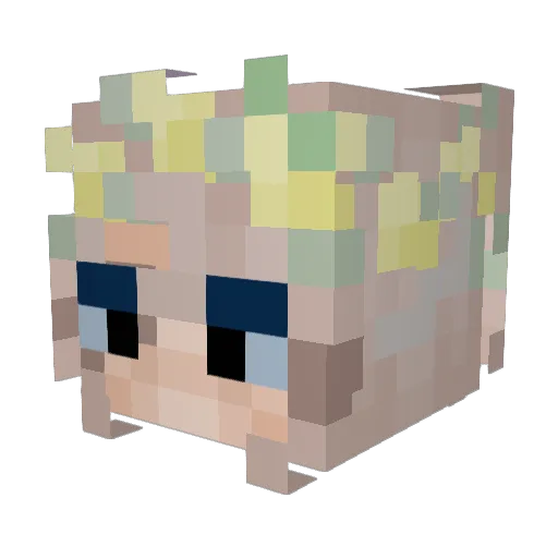Vania2008 Minecraft avatar head, 3D render
