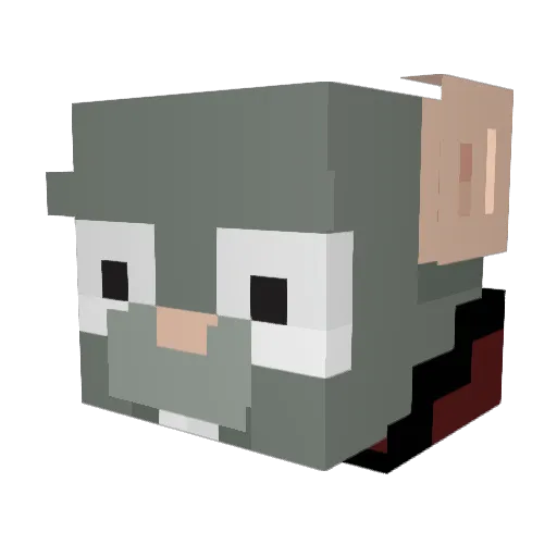 Vanicjusz Minecraft avatar head, 3D render
