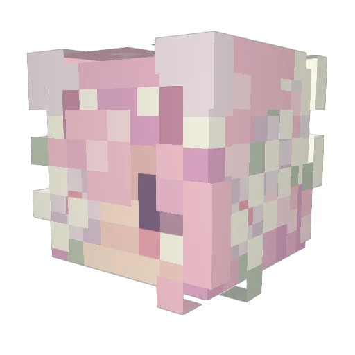 Vanila_0525 Minecraft avatar head, 3D render