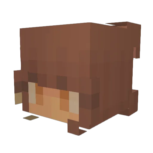 Vanilie05 Minecraft avatar head, 3D render