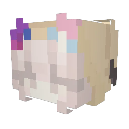 VanillBean Minecraft avatar head, 3D render