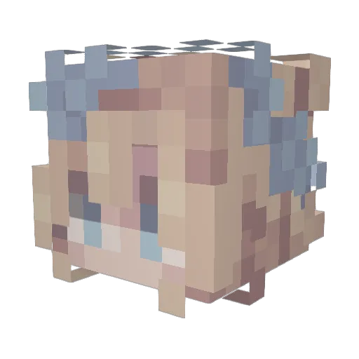 Vanilla2137 Minecraft avatar head, 3D render