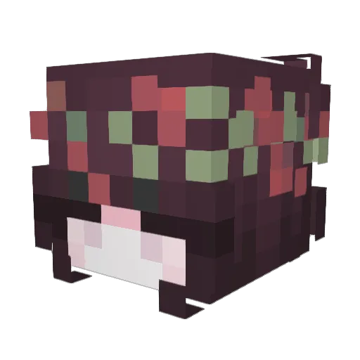 VanillaJester21 Minecraft avatar head, 3D render