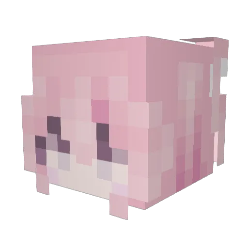 VanillaMuffinCat Minecraft avatar head, 3D render