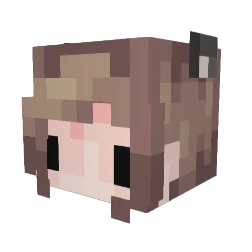 VanillaRP Minecraft avatar head, 3D render