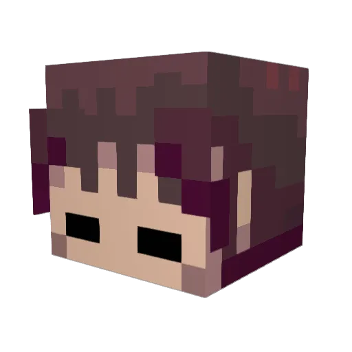 VanillaSeagull Minecraft avatar head, 3D render