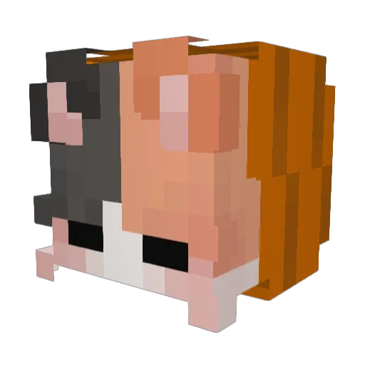 VanillaStrom Minecraft avatar head, 3D render