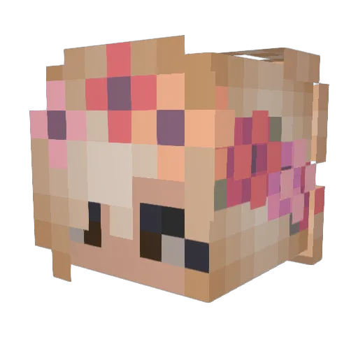VanillaSugar684 Minecraft avatar head, 3D render
