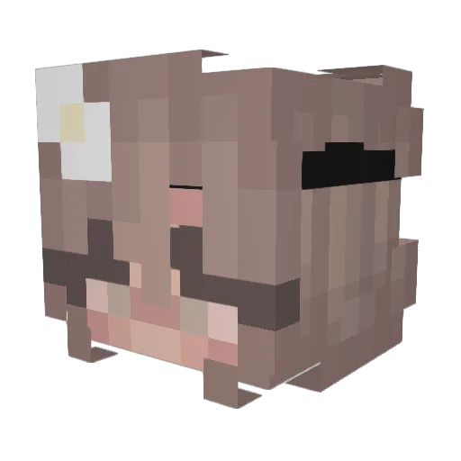 VanillaTwiilight Minecraft avatar head, 3D render