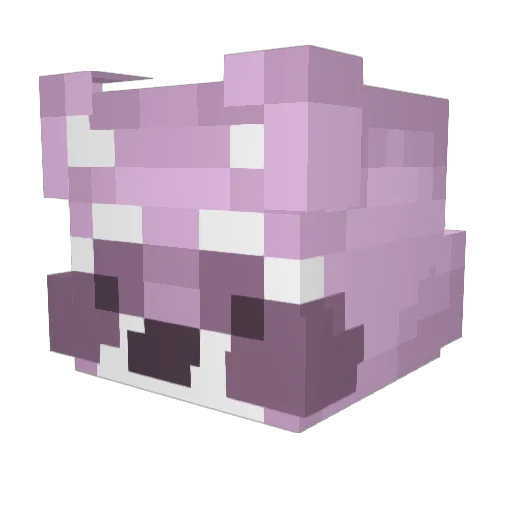 Vanillabeat2004 Minecraft avatar head, 3D render