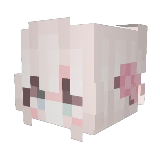 VanilleTheKitty Minecraft avatar head, 3D render