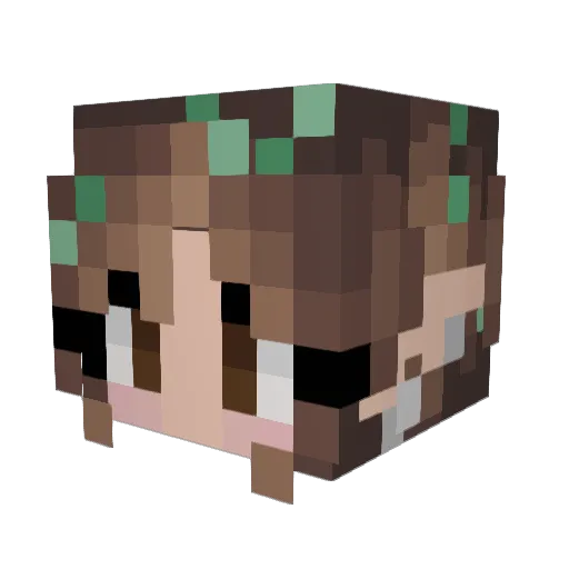 Vanillopy Minecraft avatar head, 3D render
