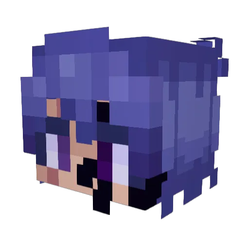 VanishO2 Minecraft avatar head, 3D render