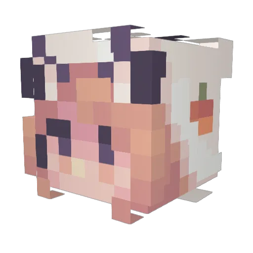 VanishedNymph Minecraft avatar head, 3D render