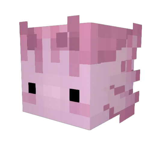 VanishedSun5161 Minecraft avatar head, 3D render