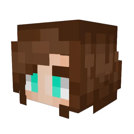 VanisherVacker Minecraft avatar head, 3D render