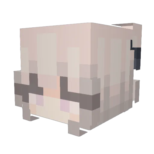Vanishhhh Minecraft avatar head, 3D render
