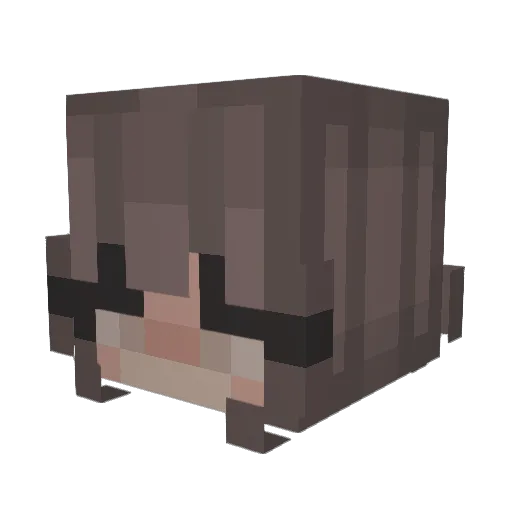 Vanisz_1337 Minecraft avatar head, 3D render