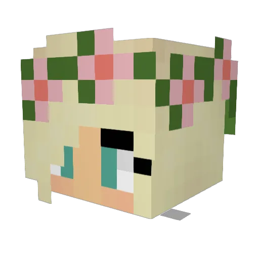 Vanity20 Minecraft avatar head, 3D render
