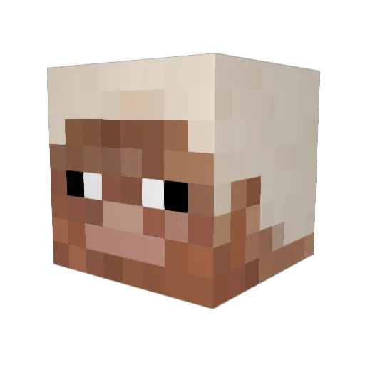 Vank Minecraft avatar head, 3D render