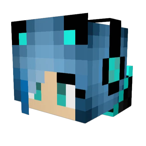 Vankara Minecraft avatar head, 3D render