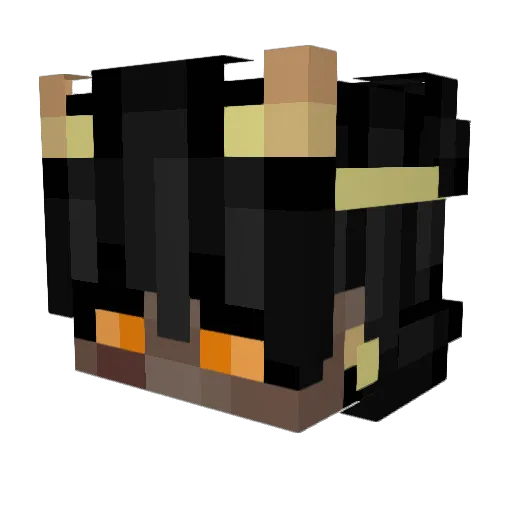 Vankesecht Minecraft avatar head, 3D render