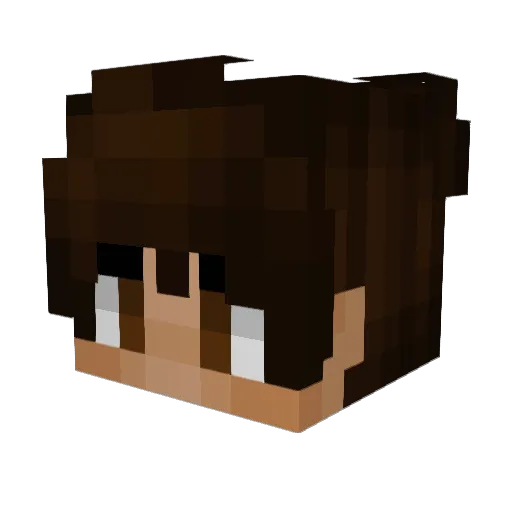 VankopopNotFound Minecraft avatar head, 3D render