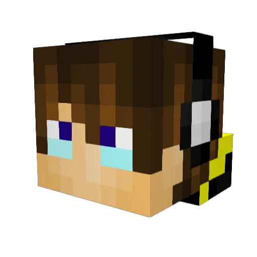 Vankxr Minecraft avatar head, 3D render