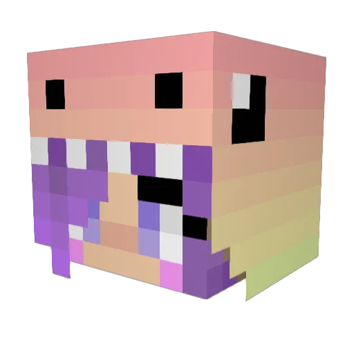 Vannahrawr Minecraft avatar head, 3D render