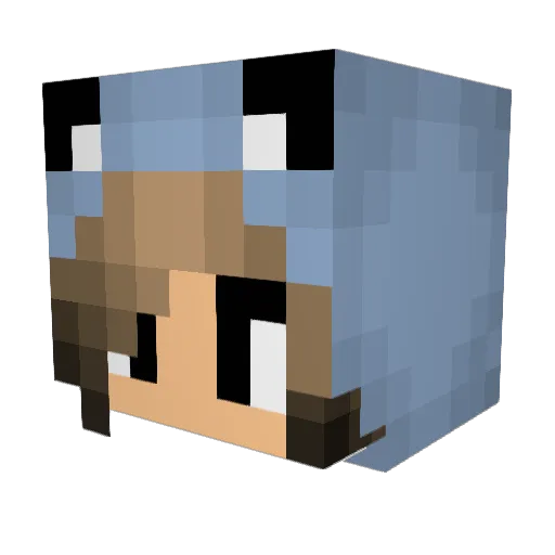 VanniBanani Minecraft avatar head, 3D render