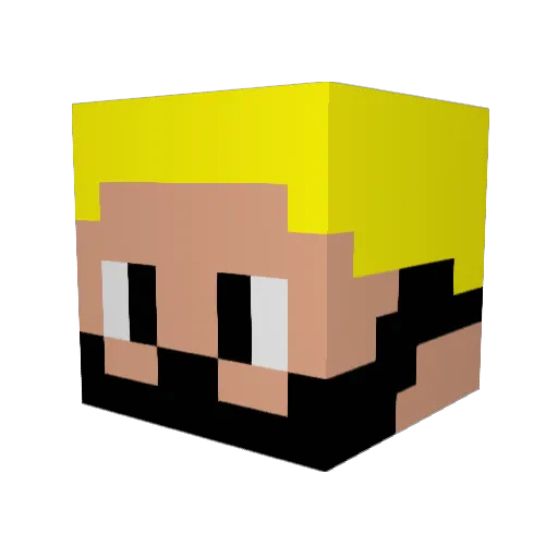 Vanni_Pobre Minecraft avatar head, 3D render