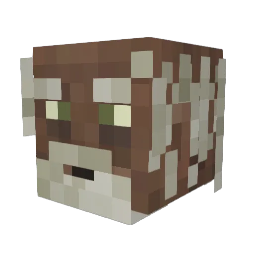 Vannidar Minecraft avatar head, 3D render
