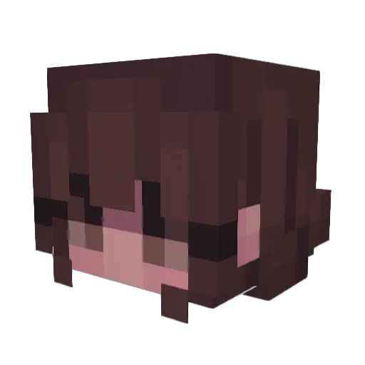 Vannte16 Minecraft avatar head, 3D render