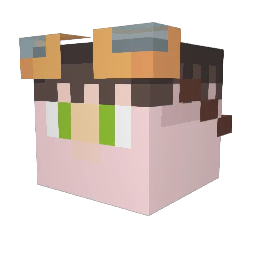 VanoOO9689 Minecraft avatar head, 3D render
