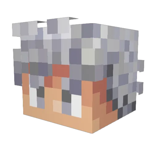 VanrltvJ Minecraft avatar head, 3D render