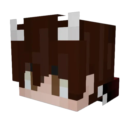 Vansh_12 Minecraft avatar head, 3D render