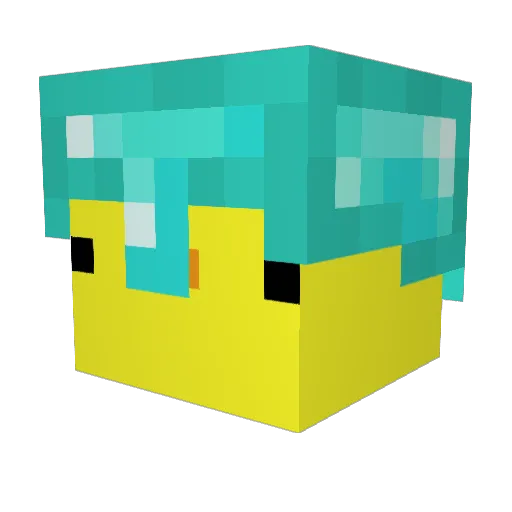 Vanshhhhhh Minecraft avatar head, 3D render